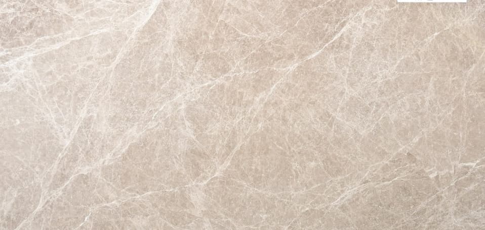 Spider Grey
