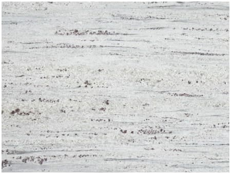 River White New