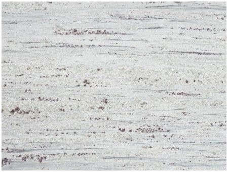 River White New